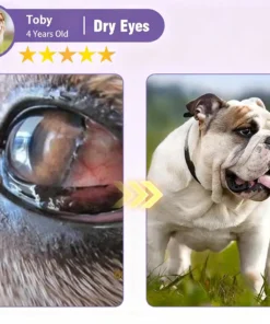 Zakdavi™ NanoCare Pet Eye Drops