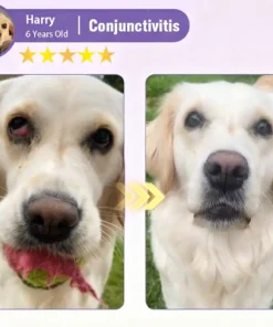 Zakdavi™ NanoCare Pet Eye Drops